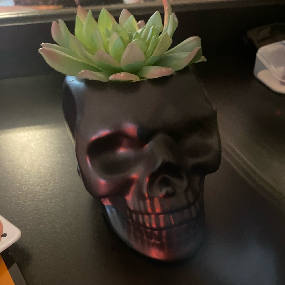 Small black skull fake plant holder